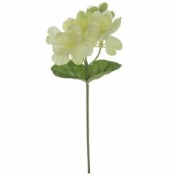 Cheapest 😉 Jasmine Pick 🎁