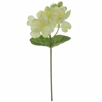 Cheapest ???? Jasmine Pick ???? 3 Cheapest ???? Jasmine Pick ????