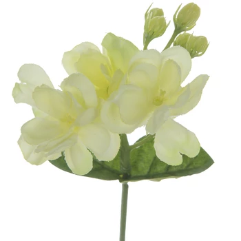 Cheapest ???? Jasmine Pick ???? 4 Cheapest ???? Jasmine Pick ???? - Image 2
