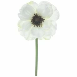 New 🌟 White Anemone Pick 😍