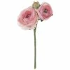 Buy 🧨 Ranunculus Pick 🌟