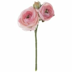 Buy 🧨 Ranunculus Pick 🌟