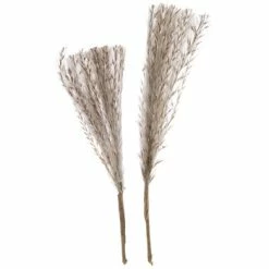 Best Sale 🔥 Beige & White Fuzzy Seeded Picks 🛒