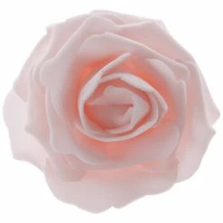 Cheap 💯 Rose Blooms 👏