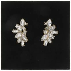 Budget 🔔 Leaf Rhinestone Earrings 🌟